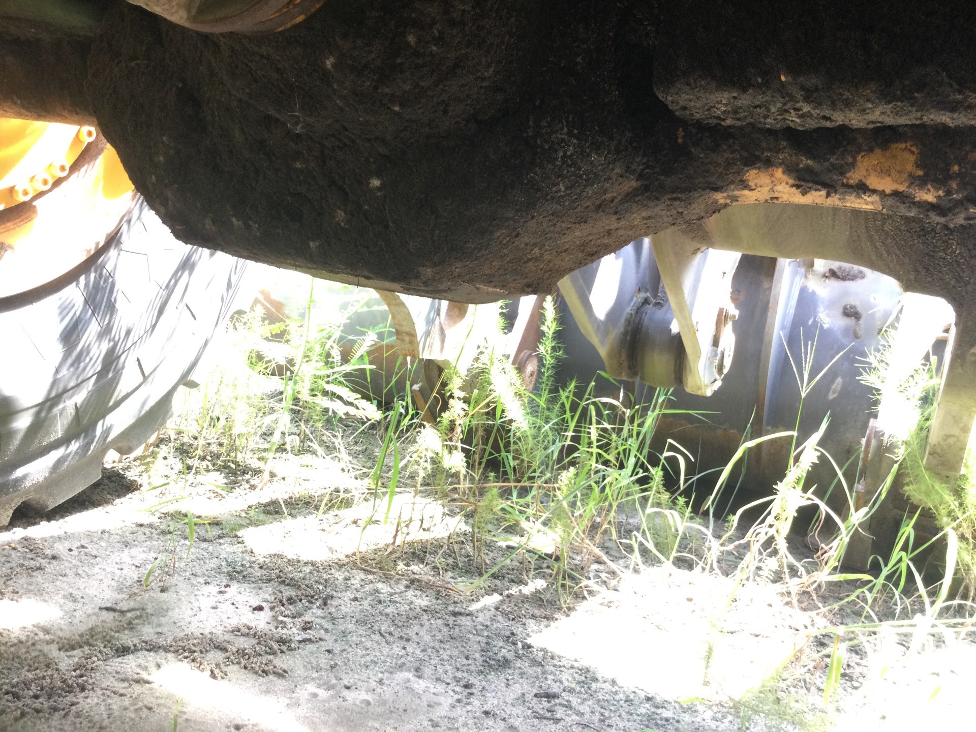 Photo - 25