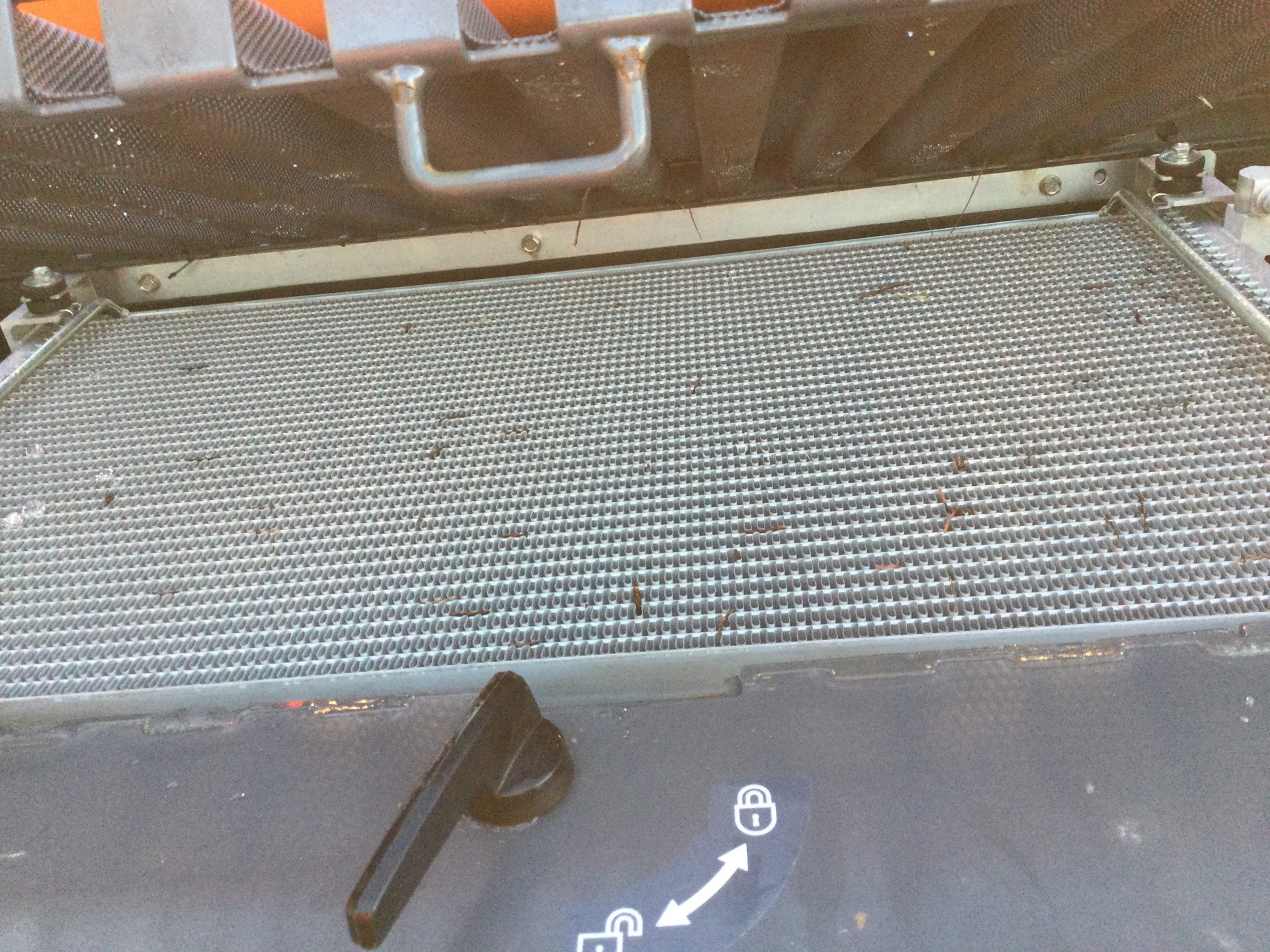 Photo - 38