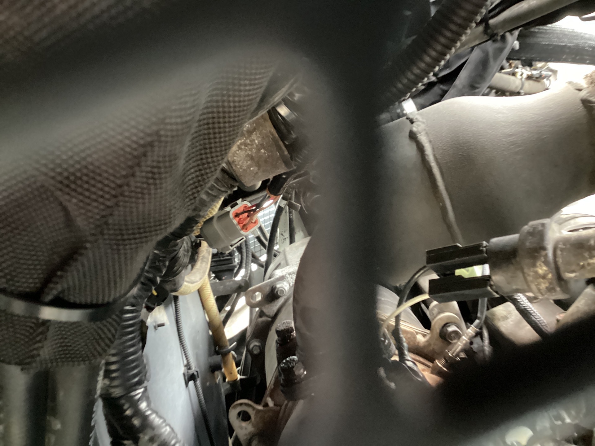 Photo - 41
