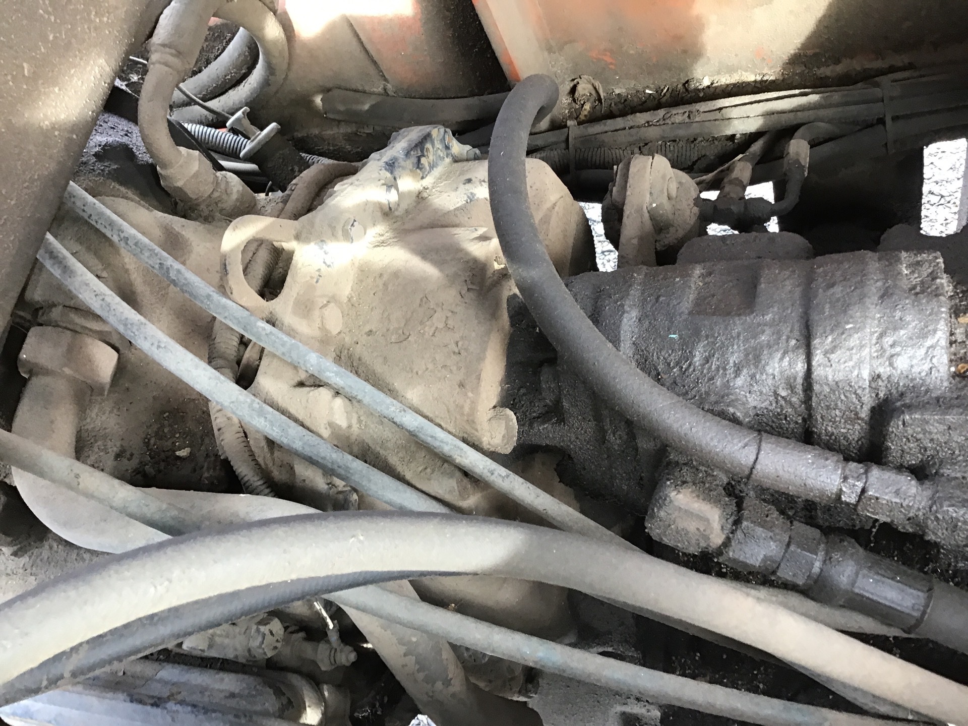 Photo - 19